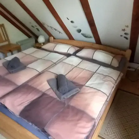 Haus 36 *